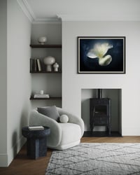 Image 3 of White Tulip in Shadow Fine Art Print