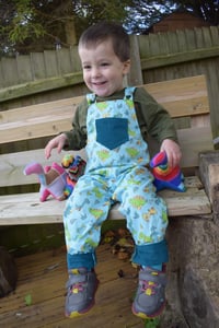 Image of Baby/Toddler Reversible Dungarees - Dinosaurs