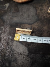 Image 4 of Human Bone Pin