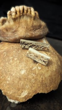 Image 1 of Human Bone Pin