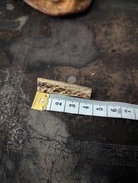 Image 5 of Human Bone Pin