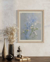 Image 3 of Gypsophila Whisper Fine Art Print 