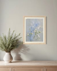 Image 2 of Gypsophila Whisper Fine Art Print 