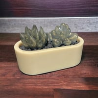 Image 1 of Faux Succulent Planters