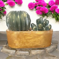 Image 1 of Faux Succulents and Planter