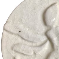 Image 3 of FOSIL FATA