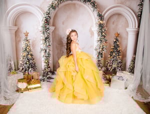 Image of SALE! - 11/2/25: Christmas 15 - WITH SANTA'S OLD WORLD SUIT