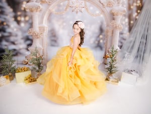 Image of SALE! - 11/2/25: Christmas 15 - WITH SANTA'S OLD WORLD SUIT