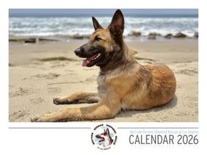 Image of 2026 WGSR Calendars