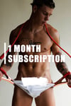 1 MONTH SUBSCRIPTION 