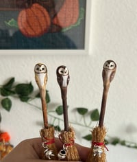 Image 1 of Escobas de bruja.  Lechuza sabia.