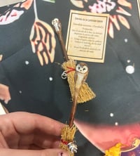 Image 2 of Escobas de bruja.  Lechuza sabia.