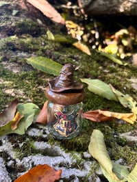 Image 1 of El tarro seleccionador 