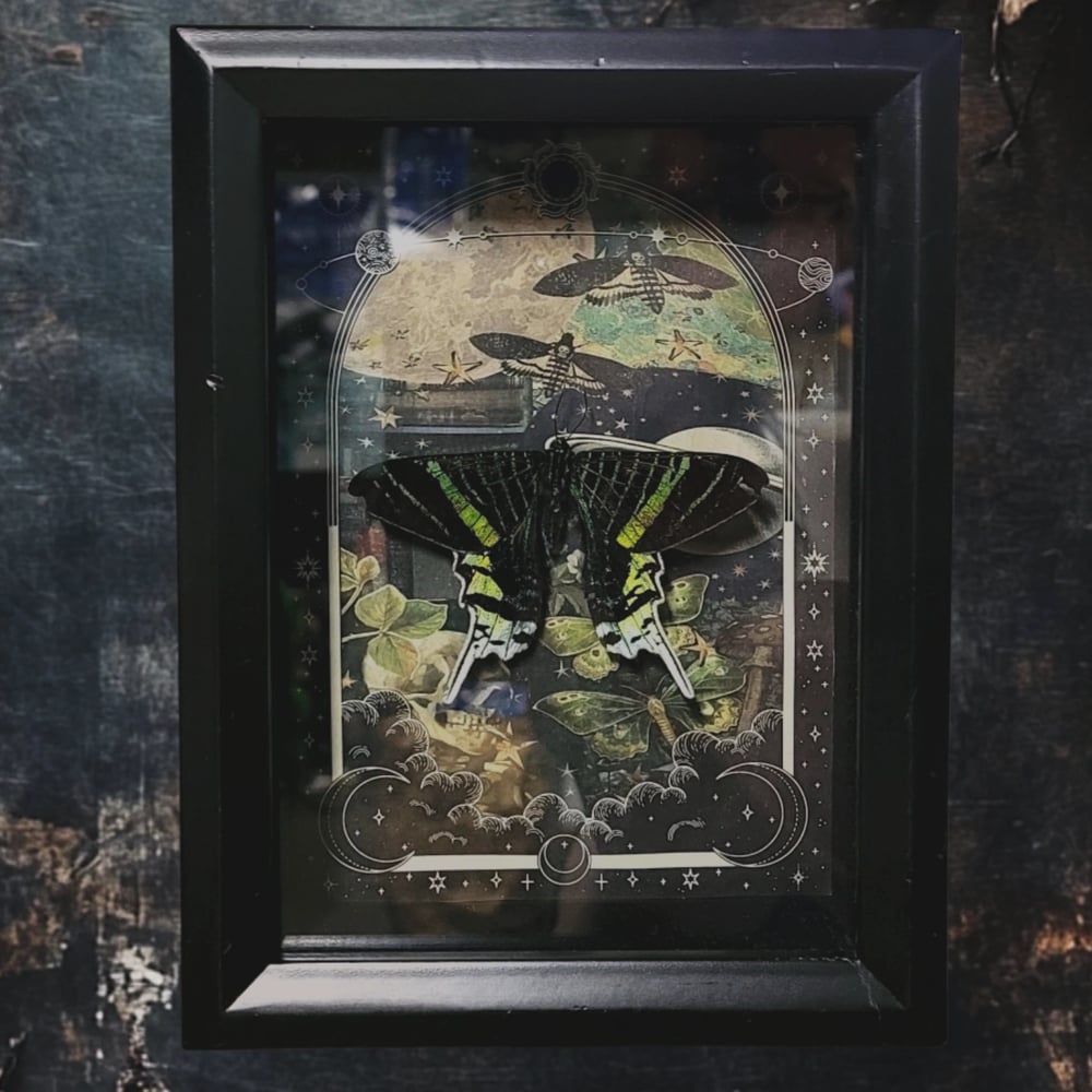 Image of A Vision in Green