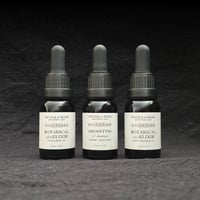 Elixir Bundle Gift Set