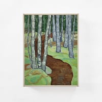 Image 1 of Western Head Preserve 2