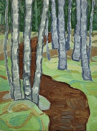 Image 4 of Western Head Preserve 2