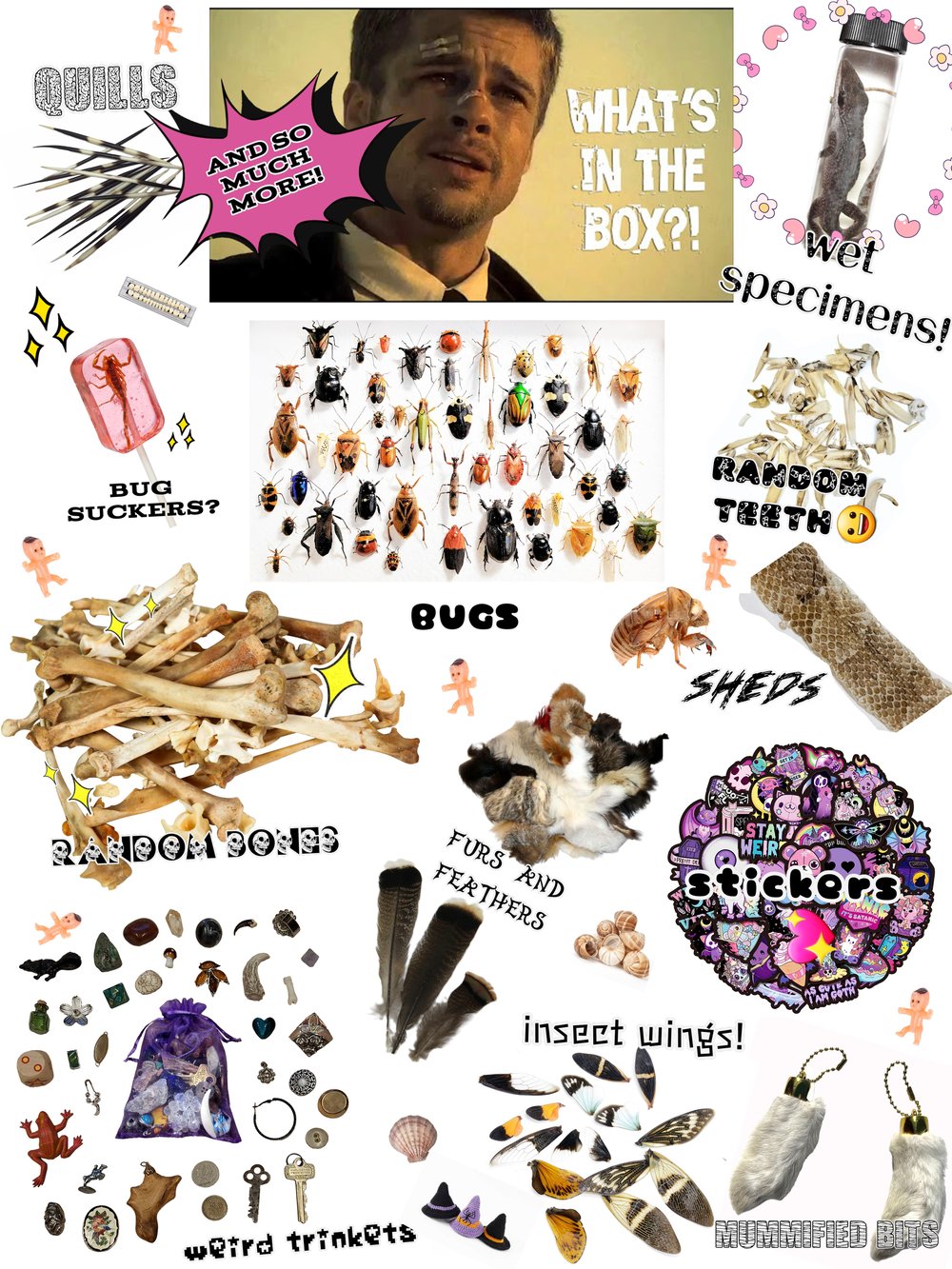 Image of Oddity Mystery Boxes 