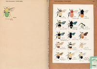 Image 5 of FEUILLES VOLANTES L’inventaire inachevé de Heinrich Buchecker - Sylvain HUGEL