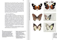 Image 6 of FEUILLES VOLANTES L’inventaire inachevé de Heinrich Buchecker - Sylvain HUGEL