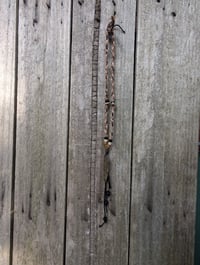 Image 4 of The Vulture 