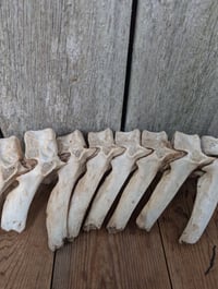 Image 5 of Protection 