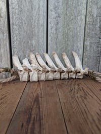 Image 4 of Protection 