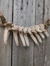 Image 3 of Protection 