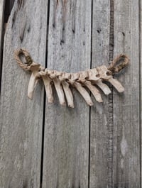 Image 1 of Protection 