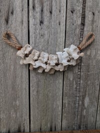 Image 1 of Hibernation 