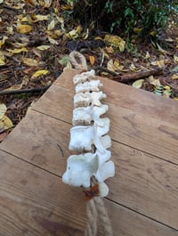 Image 2 of Hibernation 