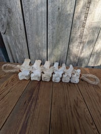 Image 3 of Hibernation 