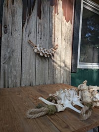 Image 4 of Hibernation 