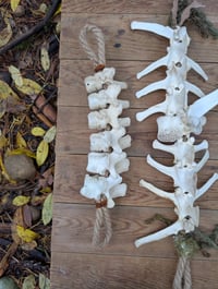 Image 5 of Hibernation 