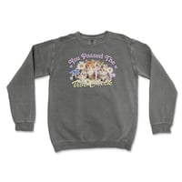 You Passed the Vibe Check Crewneck