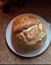 Plain Sourdough Loaf