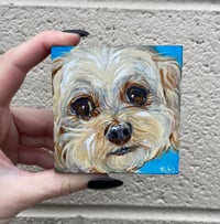 Image 2 of Tiny Pet Portrait