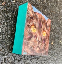 Image 3 of Tiny Pet Portrait