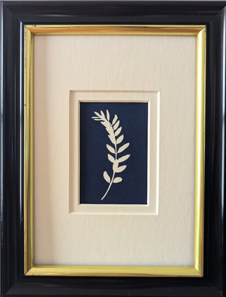 Image of Untitled 3 (Fiasconaro)