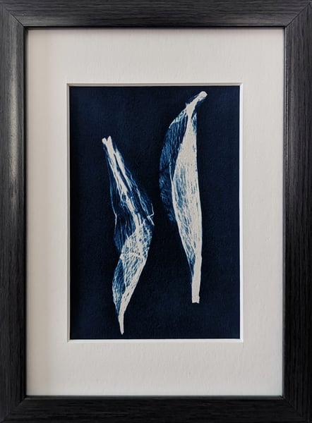 Image of Untitled 4 (Fiasconaro)