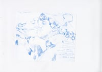 Image 1 of Blue Riso