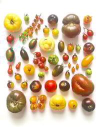 Image 3 of Pre-order: Arrangements Calendar for 2026