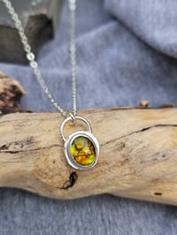 Image 2 of Paua Shell Nugget Necklace - Sterling Silver 