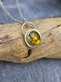 Image 1 of Paua Shell Nugget Necklace - Sterling Silver 