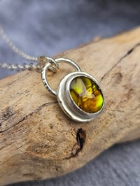 Image 7 of Paua Shell Nugget Necklace - Sterling Silver 