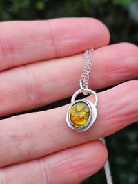 Image 4 of Paua Shell Nugget Necklace - Sterling Silver 