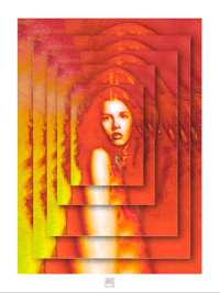  MULTITUDES / STEVIE NICKS