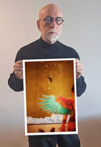 Image 3 of 'Falling with Grace '