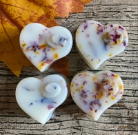 Harvest Pine Wax Melts (Pack of 4)