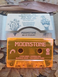 Image 3 of MOONSTONE "AGE OF MYCOLOGY"